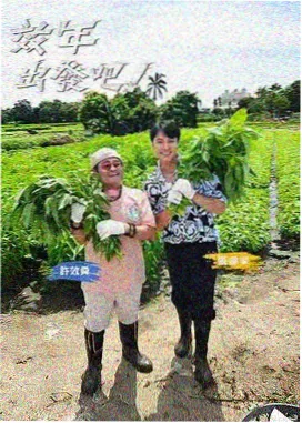 综艺《深夜书房》海报